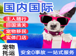 乌海机场货运国际宠物托运 【国